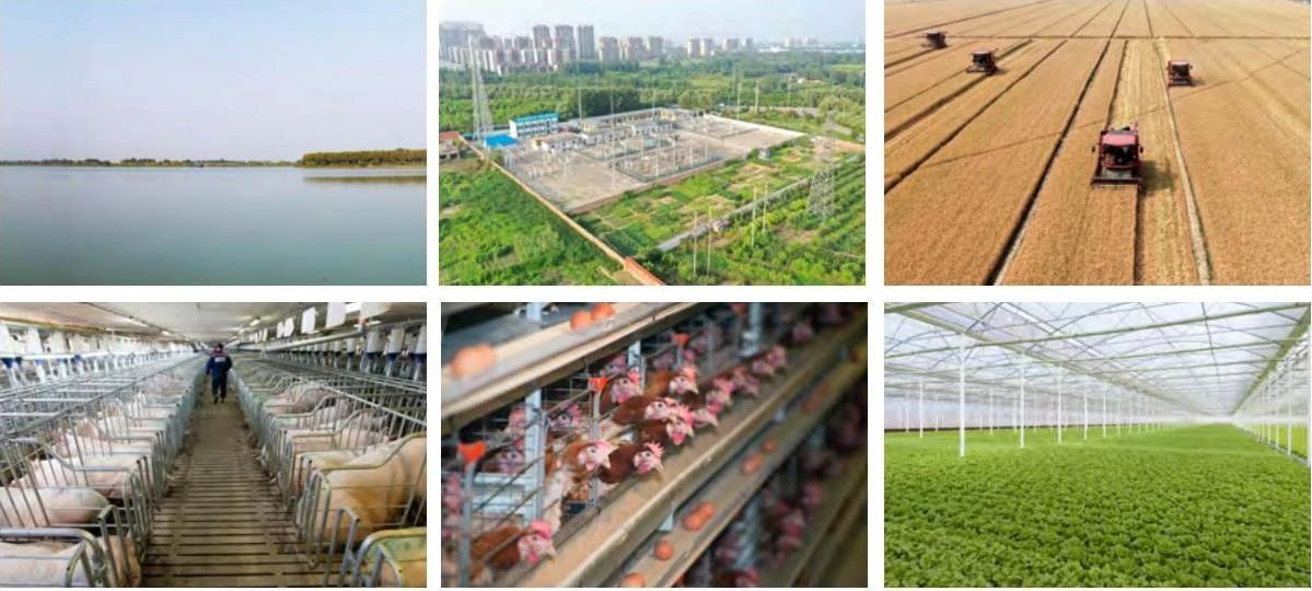 平原沃土 啟動未來 | 山東平原招商引資推介 2509133.jpg