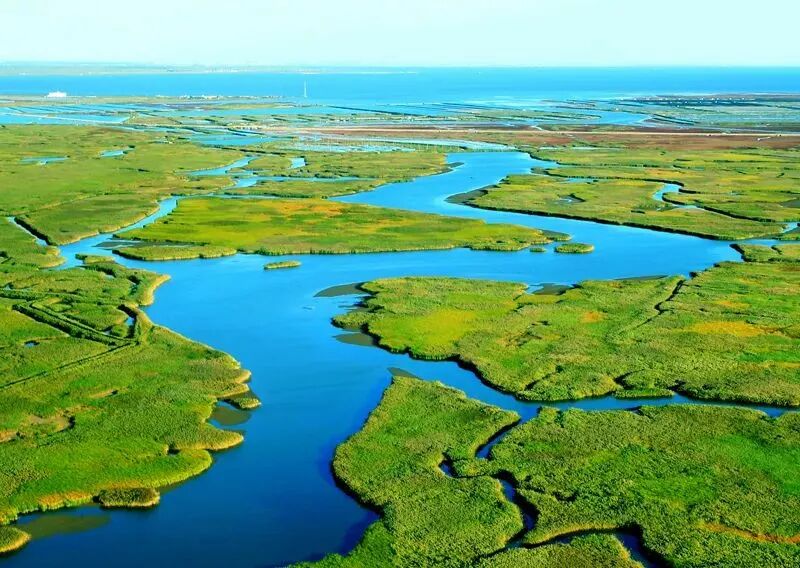 魅力大洼 商機無限 | 遼寧盤錦大洼區(qū)招商引資推介 2509142.jpg