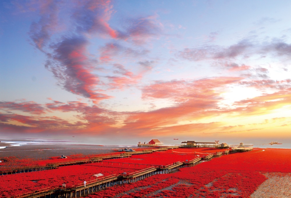 魅力大洼 商機無限 | 遼寧盤錦大洼區(qū)招商引資推介 2509143a.jpg