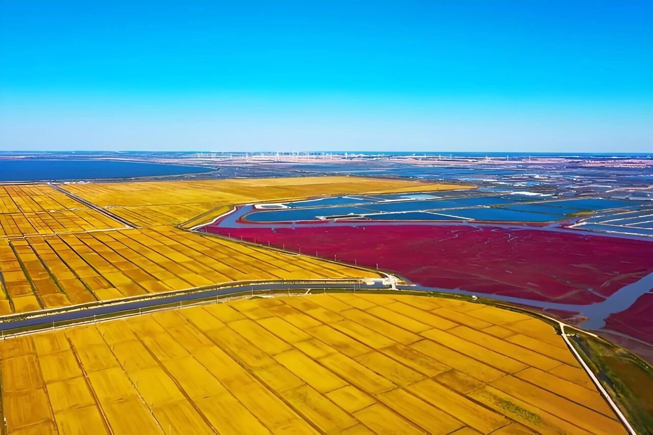魅力大洼 商機無限 | 遼寧盤錦大洼區(qū)招商引資推介 2509145.jpg